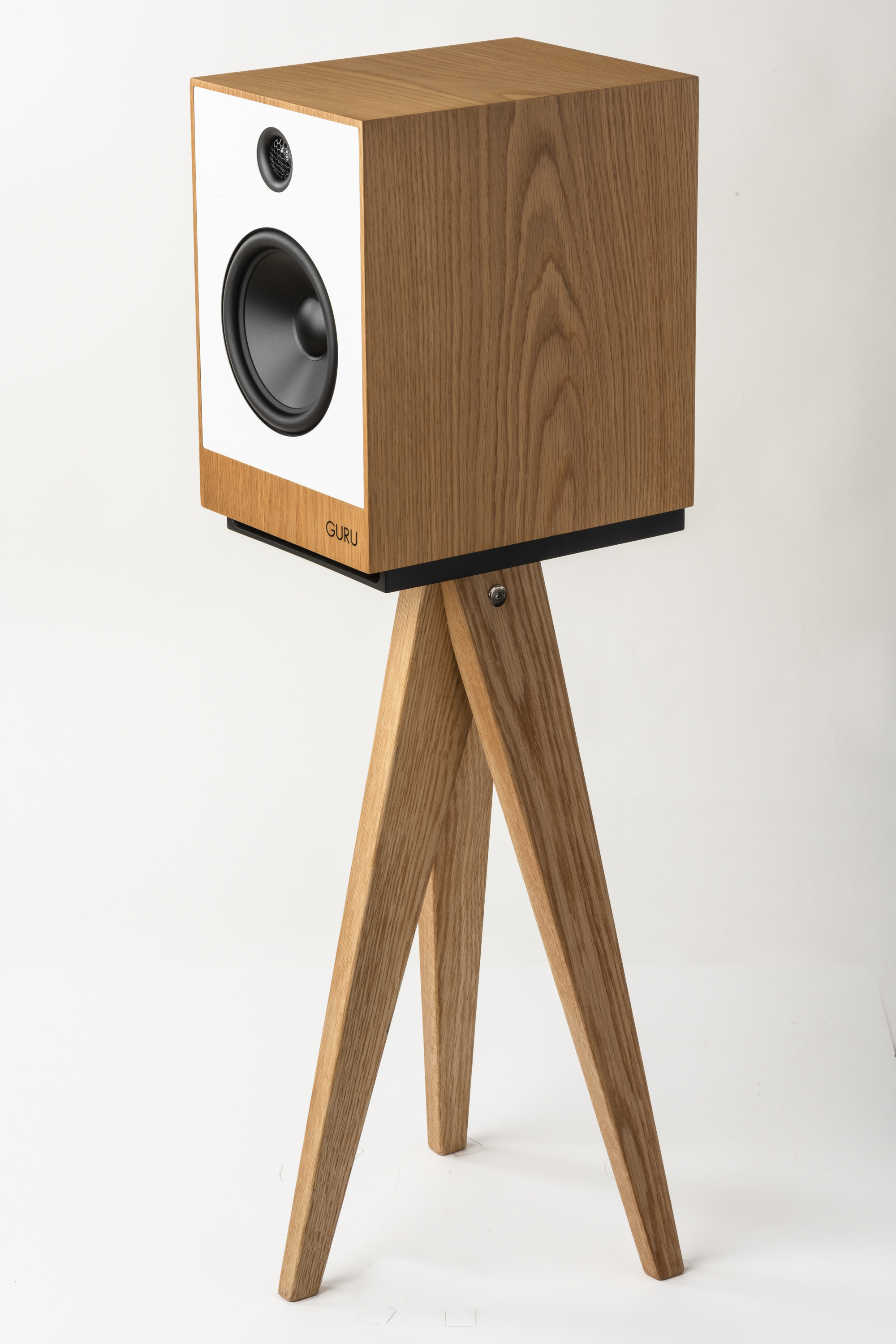 Guru 12 monitor loudspeakers